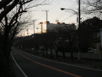 NTT横須賀研究開発センター跡