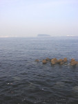 馬堀海岸から見た猿島