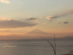 夕方の三浦半島から見た富士山